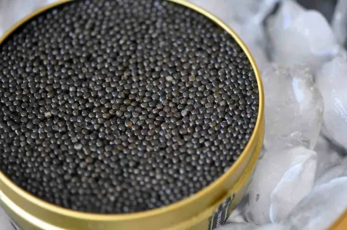 caviar froggy gourmet