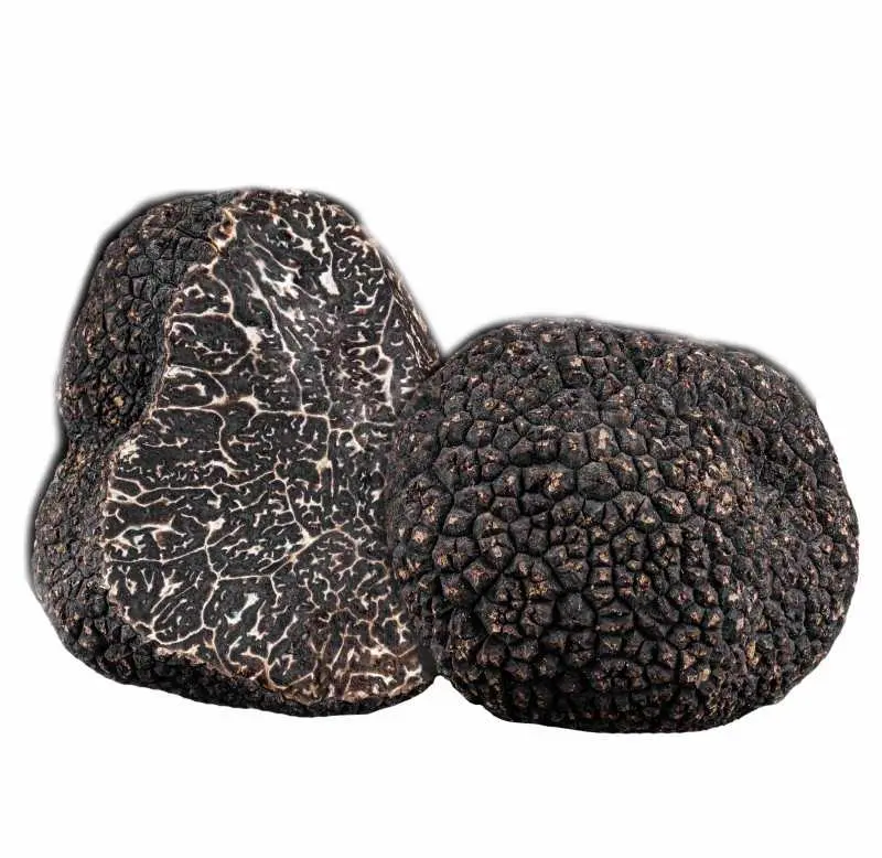 black truffles froggy gourmet