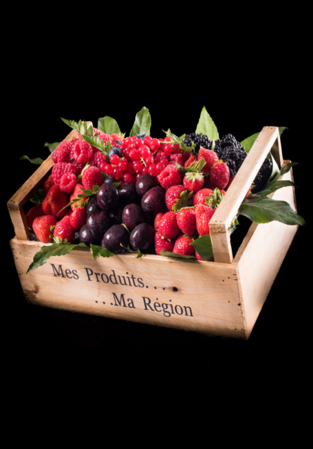RED FRUITS BASKET - CORBEILLE FRUITS ROUGES