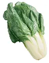 SWISS CHARD BIG STEMS - BLETTE GROSSE CÔTES