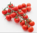 TOMATO CHERRY COCKTAIL  - TOMATE CERISE COCKTAIL 
