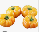 TOMATO YELLOW ANANAS - TOMATE ANCIENNE ANANAS