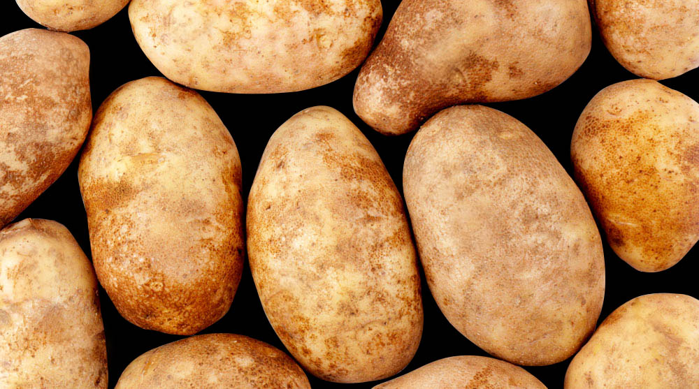 POTATO RUSSET  - POMME DE TERRE RUSSET 
