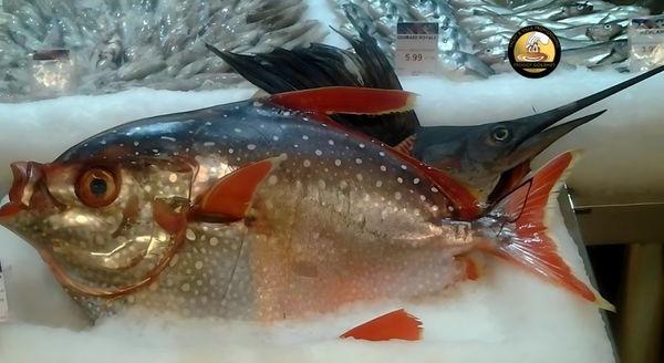  fresh seafood