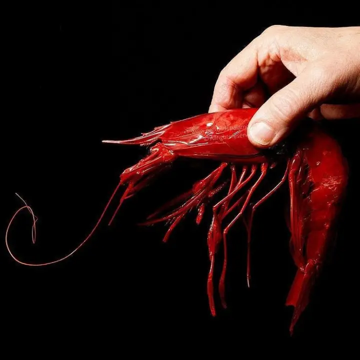 Carabineros