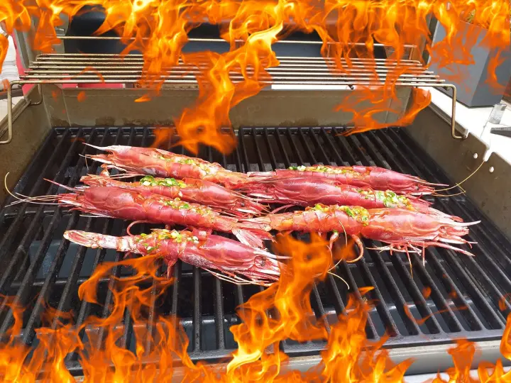 Carabineros