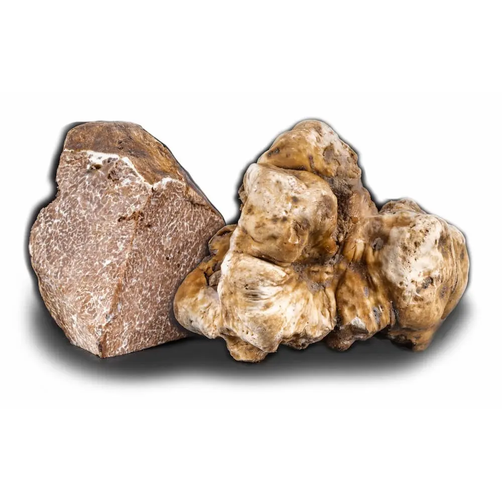 white truffles froggy gourmet