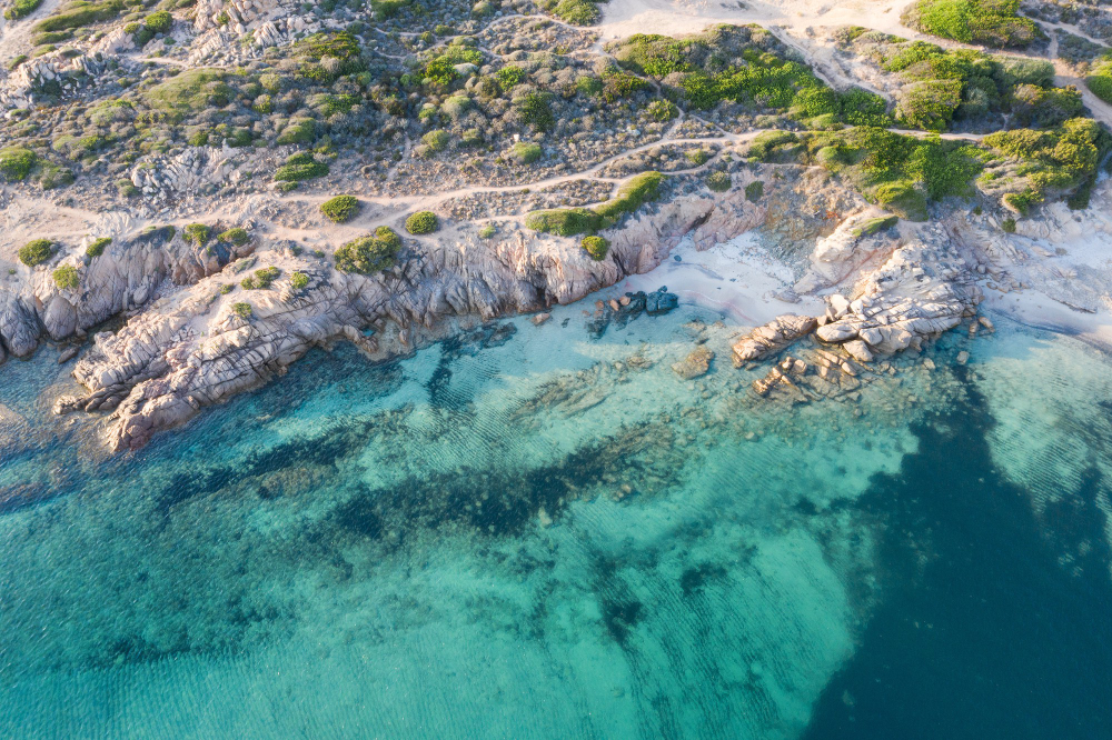Corsica