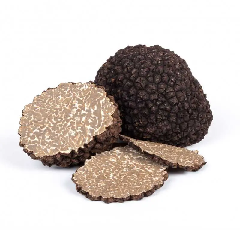 Black Truffles for yacht