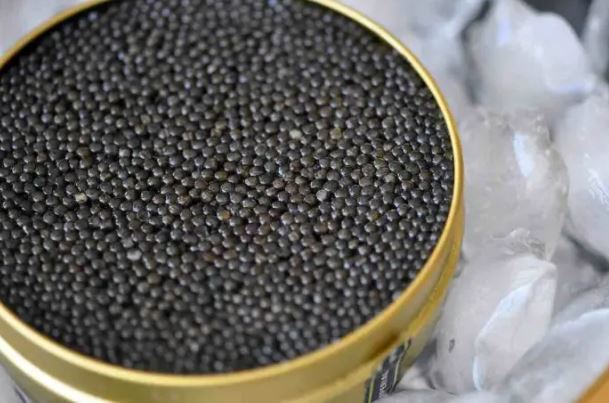 Caviar supplier Antibes