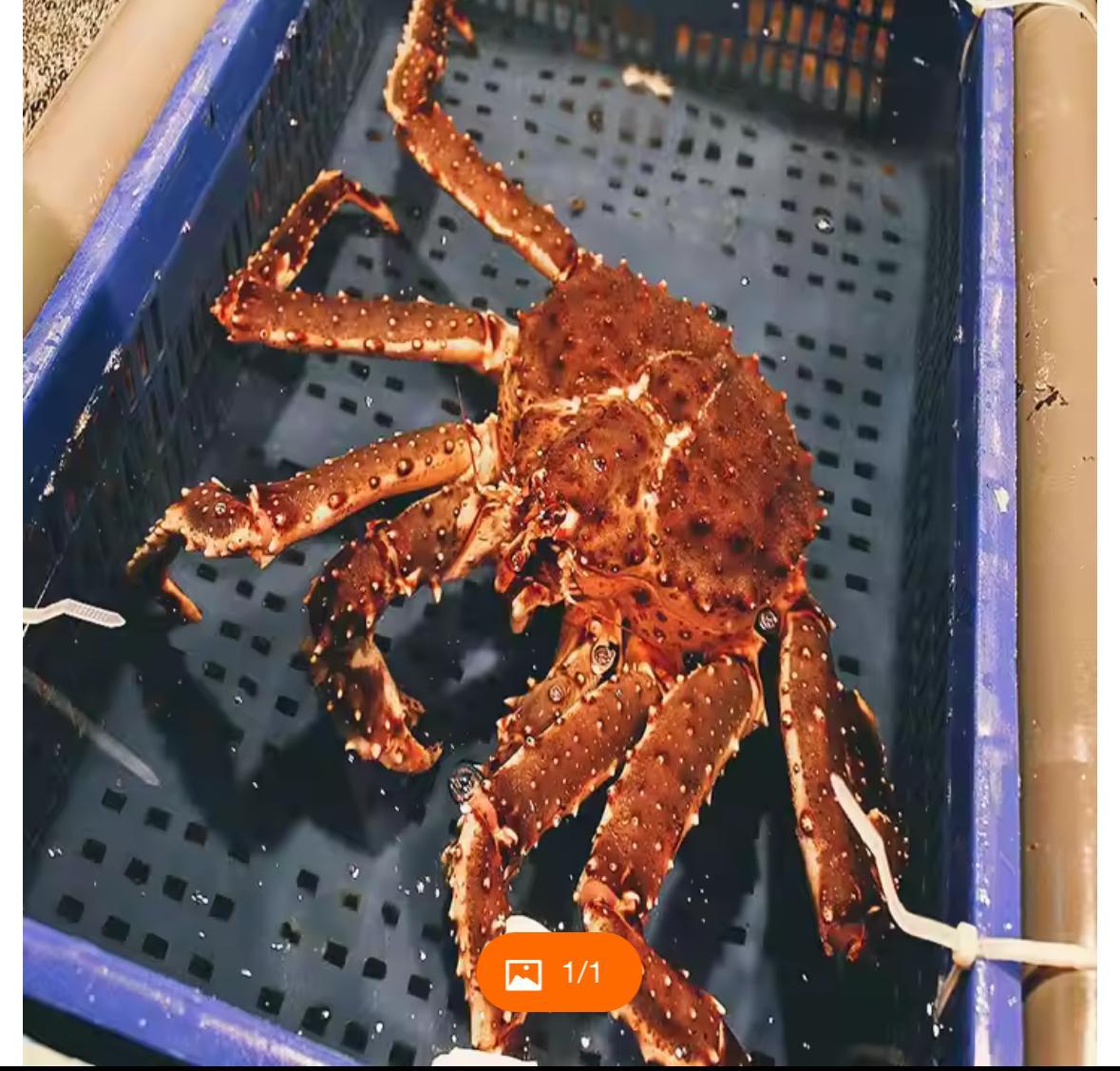 yacht seafood provisioning
