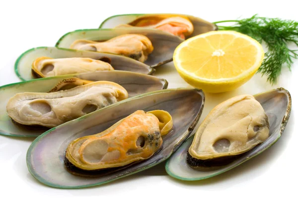 GREENSHELL H/SHELL MUSSELS 450GR MOULES VERTES N-Z - 450GR