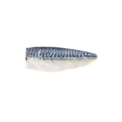 MACKEREL SHIME SABA - 160G MAQUEREAU SHIME SABA - 160G