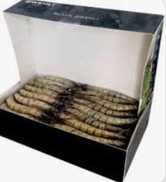 BLACK QWEHLI PRAWNS 15/20PC 2KG BLACK QWEHLI CREVETTES 15/20PC 2K