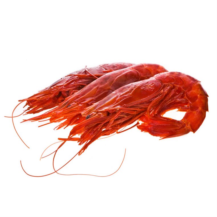 GAMBERO ROSSO LARGE 18/20PC-900GR GAMBERO ROSSO LARGE 18/20PC-900GR
