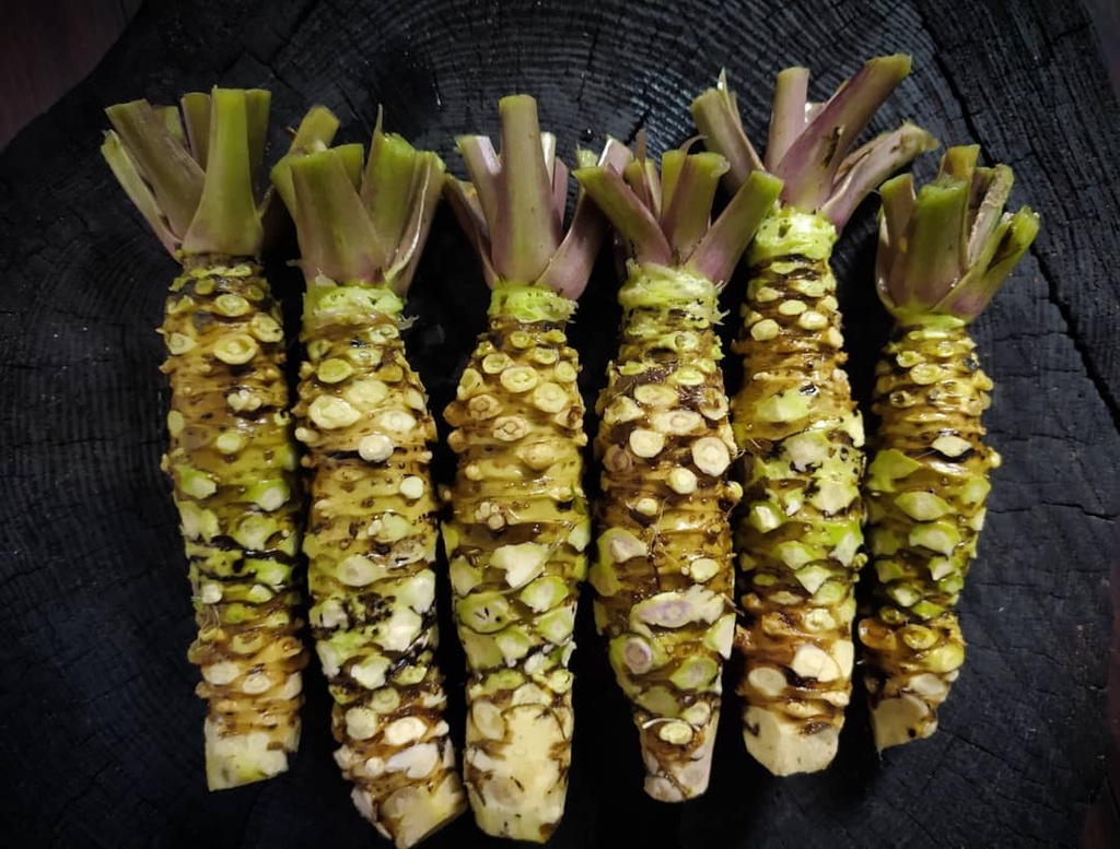 FRESH WASABI ROOT - PC WASABI FRAIS - PC
