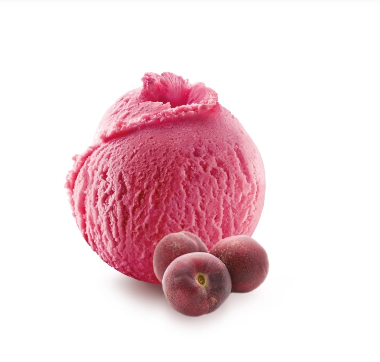 VINE PEACH SORBET, 750ML PECHE DE VIGNE SORBET, 750ML