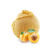 APRICOT SORBET - 750ML SORBET ABRICOT - 750ML