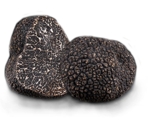 BLACK TRUFFLE AUSTRALIAN MELANO 100G - TRUFFE NOIR AUSTRALIE MELANO 100 GR
