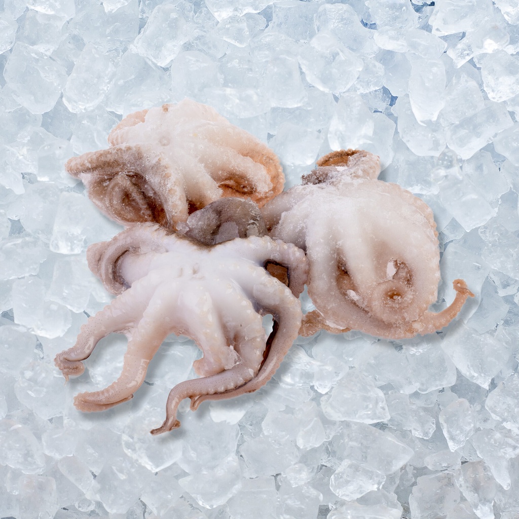 BABY OCTOPUS 20/40 VIETNAM - KG BABY OCTOPUS 20/40 VIETNAM - KG