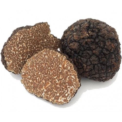 TRUFFE AUTOMNE TUBER UNCINATUM -KG TRUFFE AUTOMNE TUBER UNCINATUM - KG