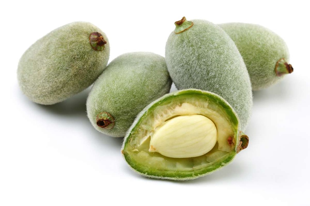 ALMOND FRESH - KG 
AMANDE FRAICHE - KG