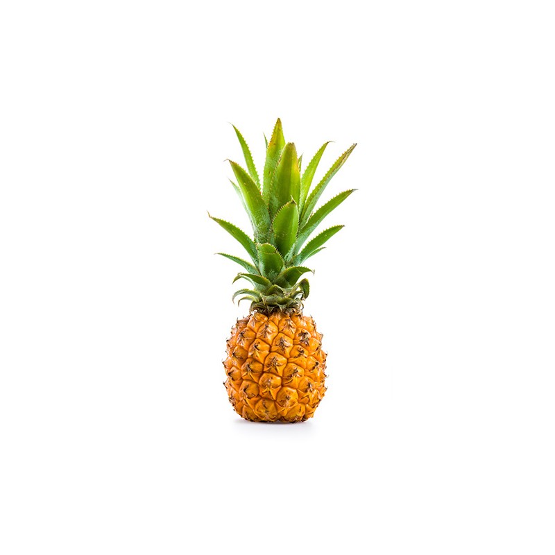 PINEAPPLE MINI VICTORIA - KG ANANAS MINI VICTORIA - KG