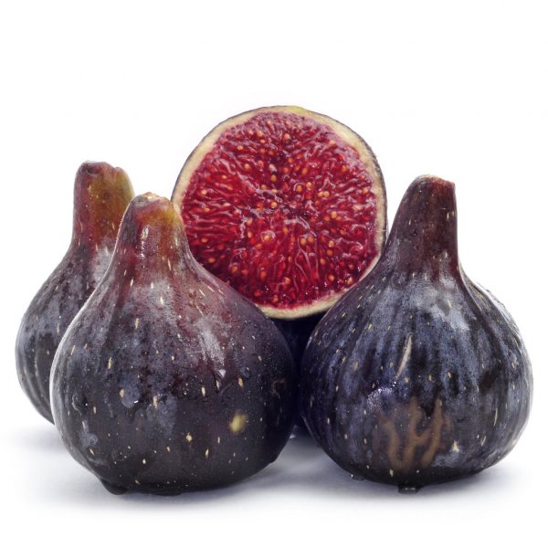 FIG BLACK - KG FIGUE NOIRE - IMPORT - KG