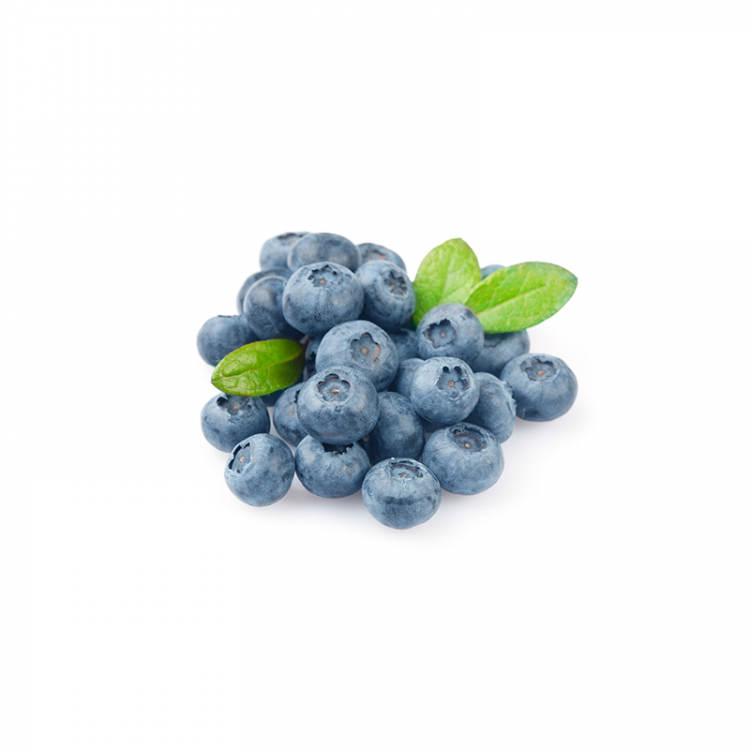 BLUEBERRY - PUNNET MYRTILLES - BARQUETTE