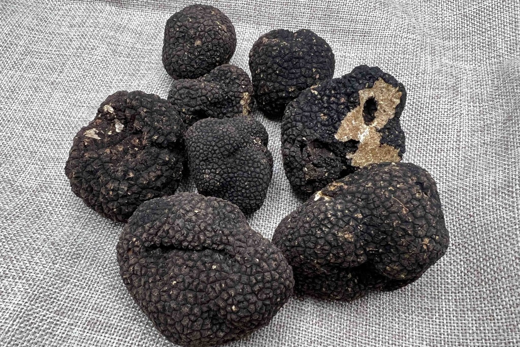 BLACK SUMMER TRUFFLE AESTIVUM - 100G TRUFFE D'ETE AESTIVUM - 100 GR