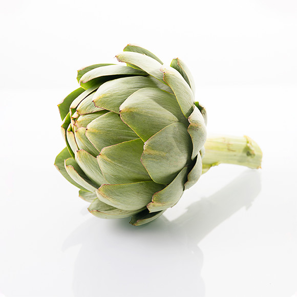 ARTICHOKE CAMUS -ARTICHAUT GROS BRETON 