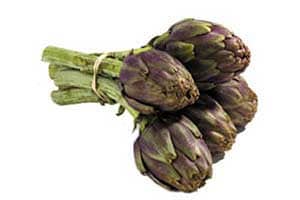 ARTICHOKE PURPLE - BUNCH ARTICHAUT POIVRADE - BOTTE