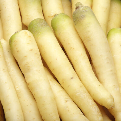 CARROT WHITE - KG CAROTTE BLANCHE - KG