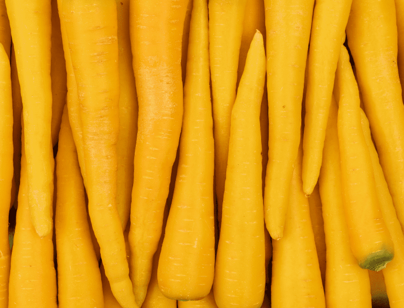 CARROT YELLOW - KG  CAROTTE JAUNE - KG