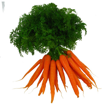 BUNCHED CARROTS - BUNCH CAROTTE FANE - BOTTE