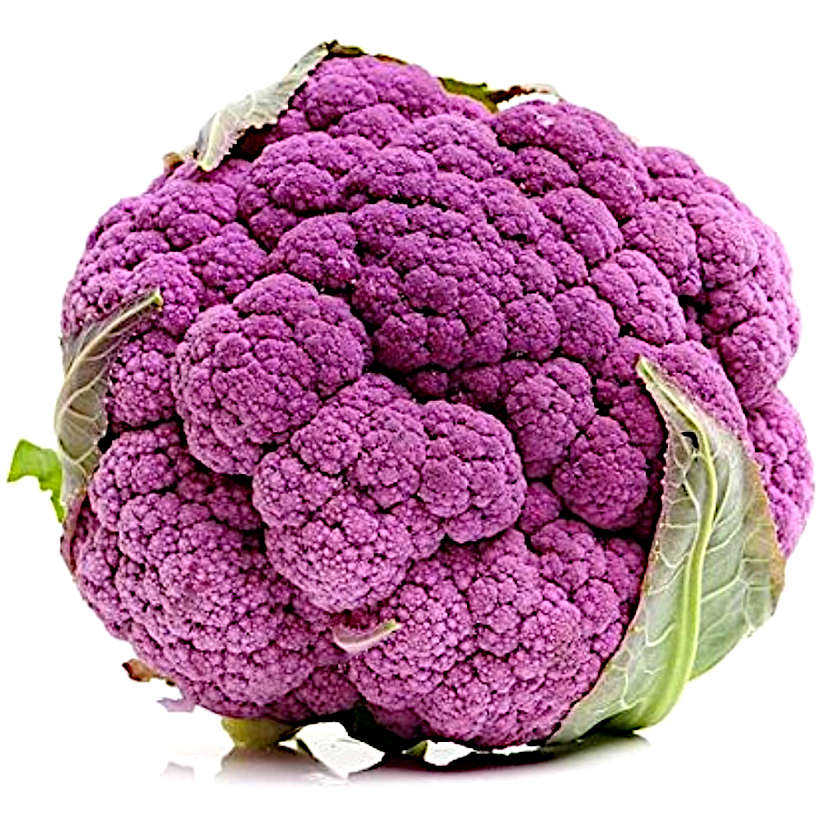 CAULIFLOWER PURPLE -  CHOU FLEUR VIOLET 