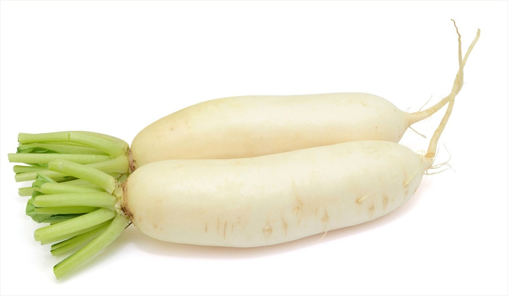 DAIKON / RADISH -DAIKON