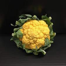 CAULIFLOWER YELLOW - CHOUX FLEUR JAUNE 