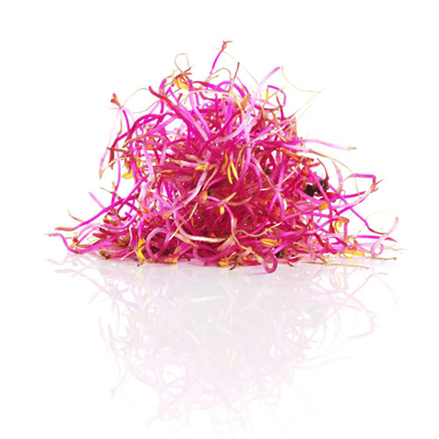 RED BEETROOT BABY LEAVES - KG POUSSE BETTERAVE ROUGE - KG