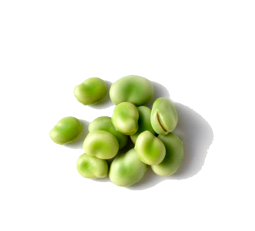 BROAD BEANS - KG FEVES - KG