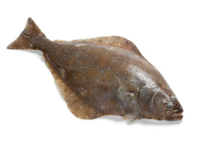 BLACK HALIBUT ATLANTIC N/EST – FLÉTAN NOIR ATLANTIQUE N/EST