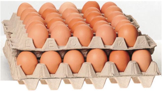 EGGS ORGANIC - 60 ŒUFS BIO - 60 