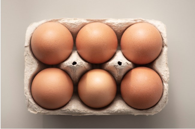 EGGS DUCK - 6 OEUFS DE CANE - 6