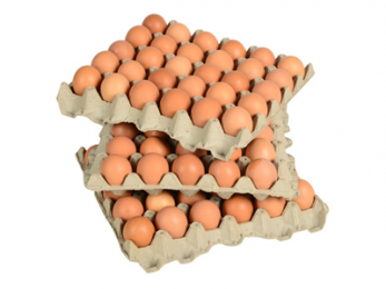 EGGS - 90 ŒUFS - 90