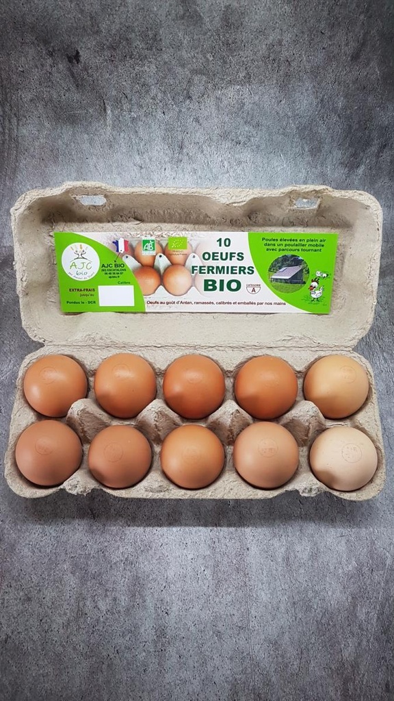 EGGS EXTRA LARGE ORGANIC - 10 OEUFS EXTRA LARGE BIO - 10