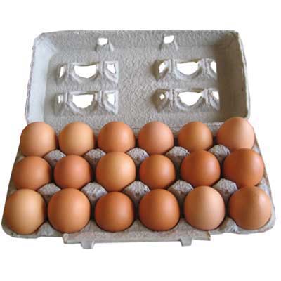 EGGS ORGANIC - 18PC OEUFS BIO - 18PC