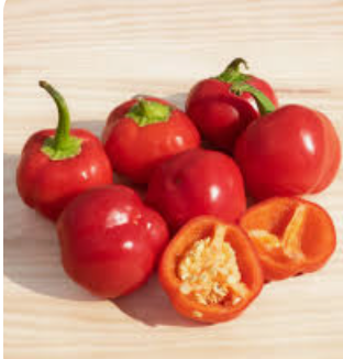 MINI PEPPER SWEET RED - MINI POIVRON ROUGE 