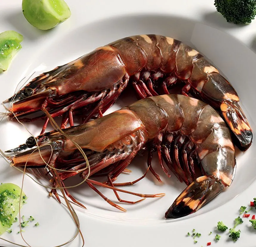 WILD SHRIMPS BL TIGER 13/15 - 800GR CREVETTES SAUV.TIGER 13/15 - 800GR