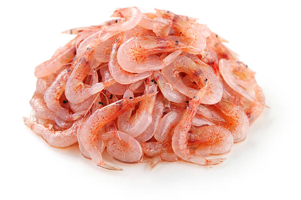 PRAWNS SMALL TRAWL FISHING FAO CREVETTES PETITE PECHE CHALUT FAO