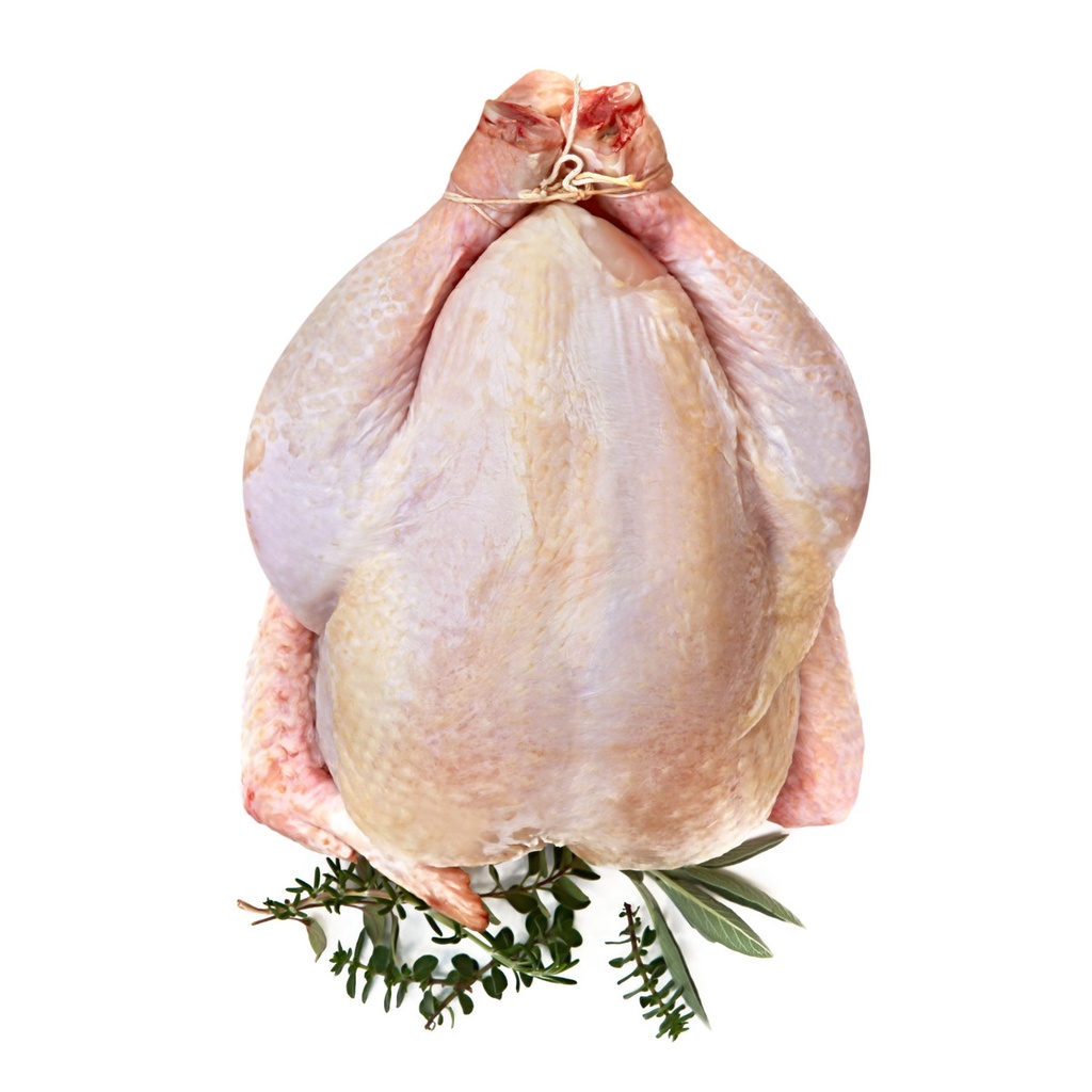 CHICKEN WHOLE KOSHER - PC POULET ENTIER - KG